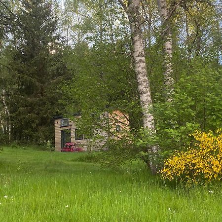 Tiny House Tout Confort Dans Un Ecrin De Nature Saint-Bonnet-le-Chastel Exteriér fotografie